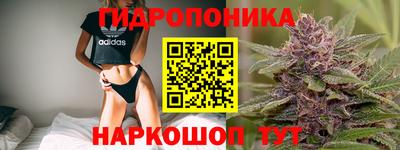 мяу мяу мука Бузулук